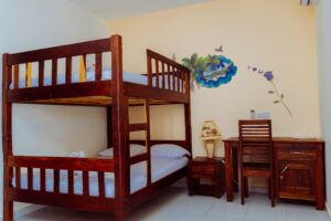 Jpeg optimizer chambre quadru